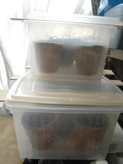 DSCN3002.jpg