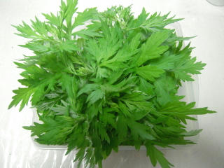 DSCN3139.JPG