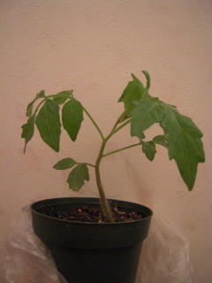 DSCN3214.JPG
