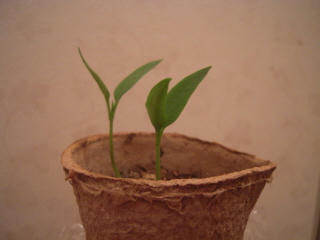 DSCN3215.JPG