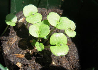 DSCN3414.jpg