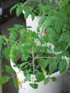 DSCN3428.jpg