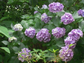 DSCN3611.JPG