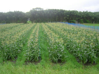 DSCN3626.JPG