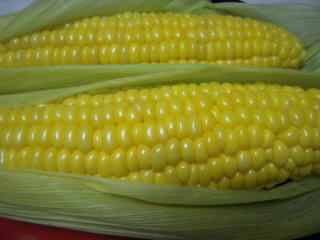 DSCN3636.JPG
