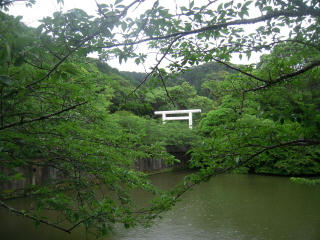 DSCN3633.JPG