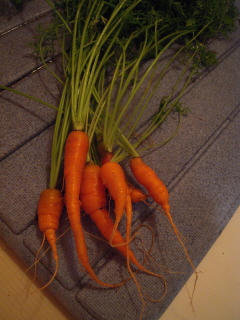 DSCN3762.jpg