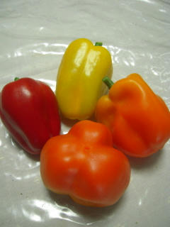 DSCN3799.jpg