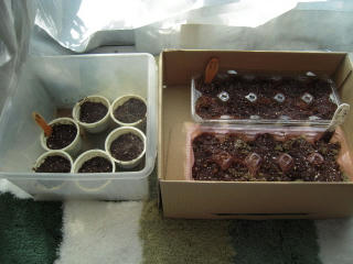DSCN3807.jpg