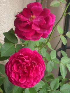 DSCN3857.JPG