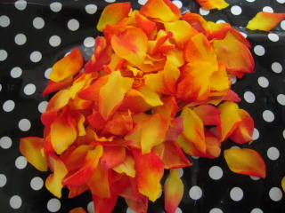 DSCN3894.jpg