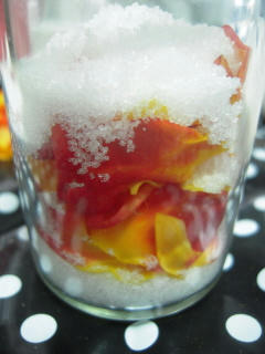DSCN3895.jpg