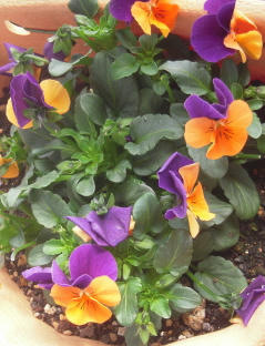 DSCN4224.jpg