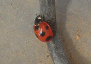 DSCN4249.jpg