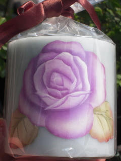 DSCN4256.jpg
