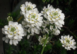 DSCN4268.jpg