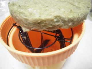 DSCN4391.jpg
