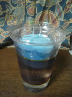 DSCN4439.jpg