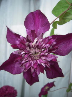 DSCN4744.jpg