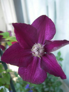 DSCN4694.JPG
