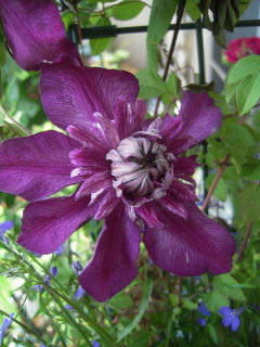 DSCN4693.JPG
