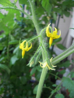 DSCN4765.jpg