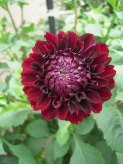 DSCN4770.JPG