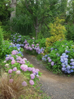 DSCN4776.JPG