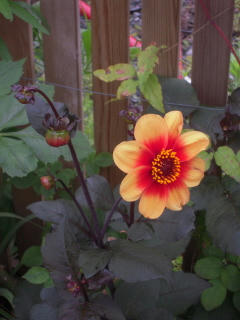 DSCN4785.JPG