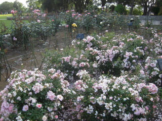 DSCN4795.JPG