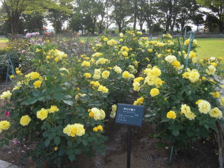 DSCN4796.JPG