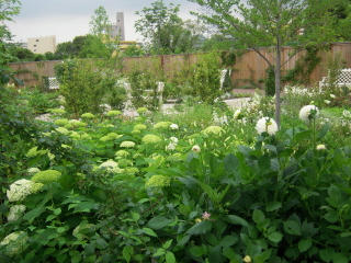 DSCN4775.jpg