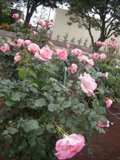 DSCN4640.jpg