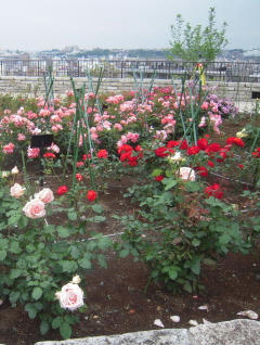 DSCN4641.jpg