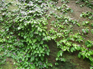 DSCN4822.jpg