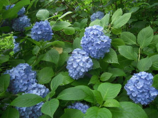 DSCN4826.jpg