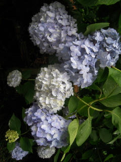 DSCN4837.jpg