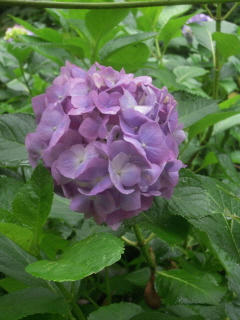 DSCN4843.jpg