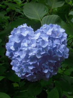 DSCN4839.jpg