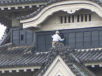 補修中