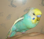 伸びてるし&hellip;