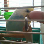 掻き掻き&hellip;