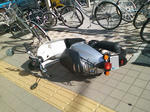 倒れたバイクで～♪？