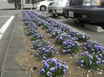 CIMG0948.JPG