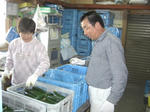 CIMG0965.JPG