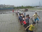 CIMG2216.JPG