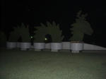 CIMG2291.JPG