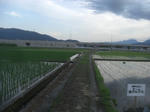 CIMG2444.JPG