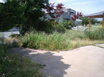 MA320008.JPG