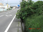 CIMG2706.JPG